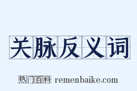 关脉反义词是什么意思的图片